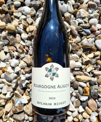 Sylvain Bzikot Bourgogne Aligote 2024