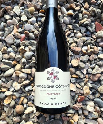 Sylvain Bzikot Bourgogne Cote d'Or Rouge 2024