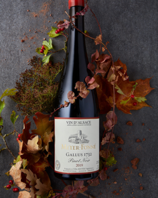 Meyer Fonne 'Gallus' Pinot Noir 2023