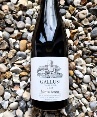 Meyer Fonne 'Gallus' Pinot Noir 2023