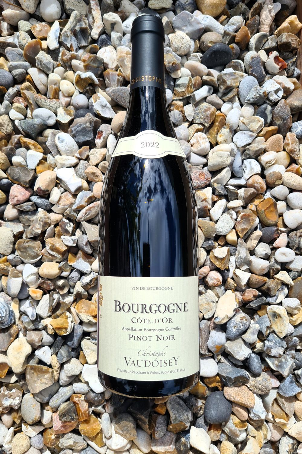 Domaine Christophe Vaudoisey Bourgogne Cote d'Or Pinot Noir 2022 Domaine Christophe Vaudoisey Bourgogne Cote d'Or Pinot Noir 2022