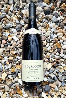 Domaine Christophe Vaudoisey Bourgogne Cote d'Or Pinot Noir 2022 Domaine Christophe Vaudoisey Bourgogne Cote d'Or Pinot Noir 2022
