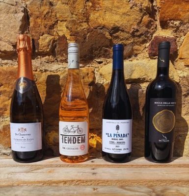 In Pour Taste Mixed Box