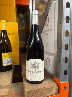 Sylvain Bzikot Bourgogne Cote d'Or Rouge 2022 - Damaged Label