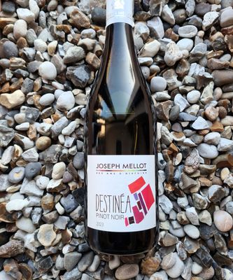 Joseph Mellot 'Destinea' Pinot Noir 2023 Joseph Mellot 'Destinea' Pinot Noir 2023
