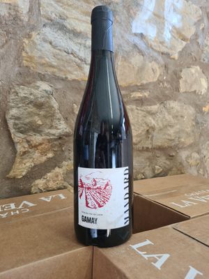 Domaine Jean Christophe Mandard Touraine Gamay 2024
