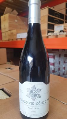 Sylvain Bzikot Bourgogne Cote d'Or Rouge 2023 - Damaged Label
