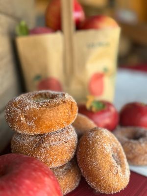Apple Cider Donuts