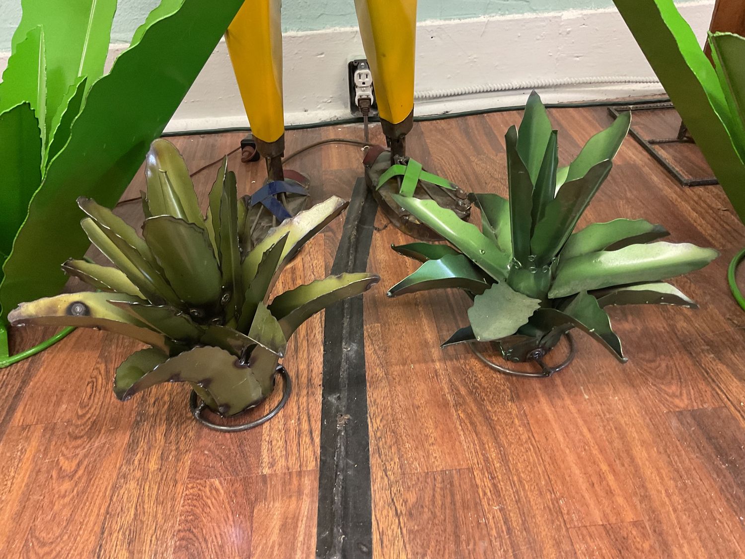 Small agave