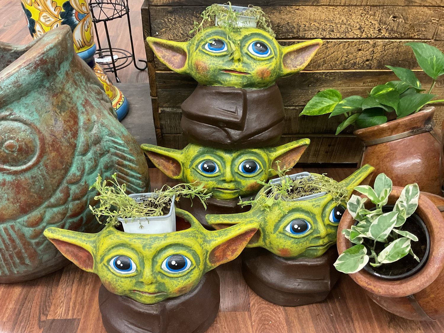 Yoda pot