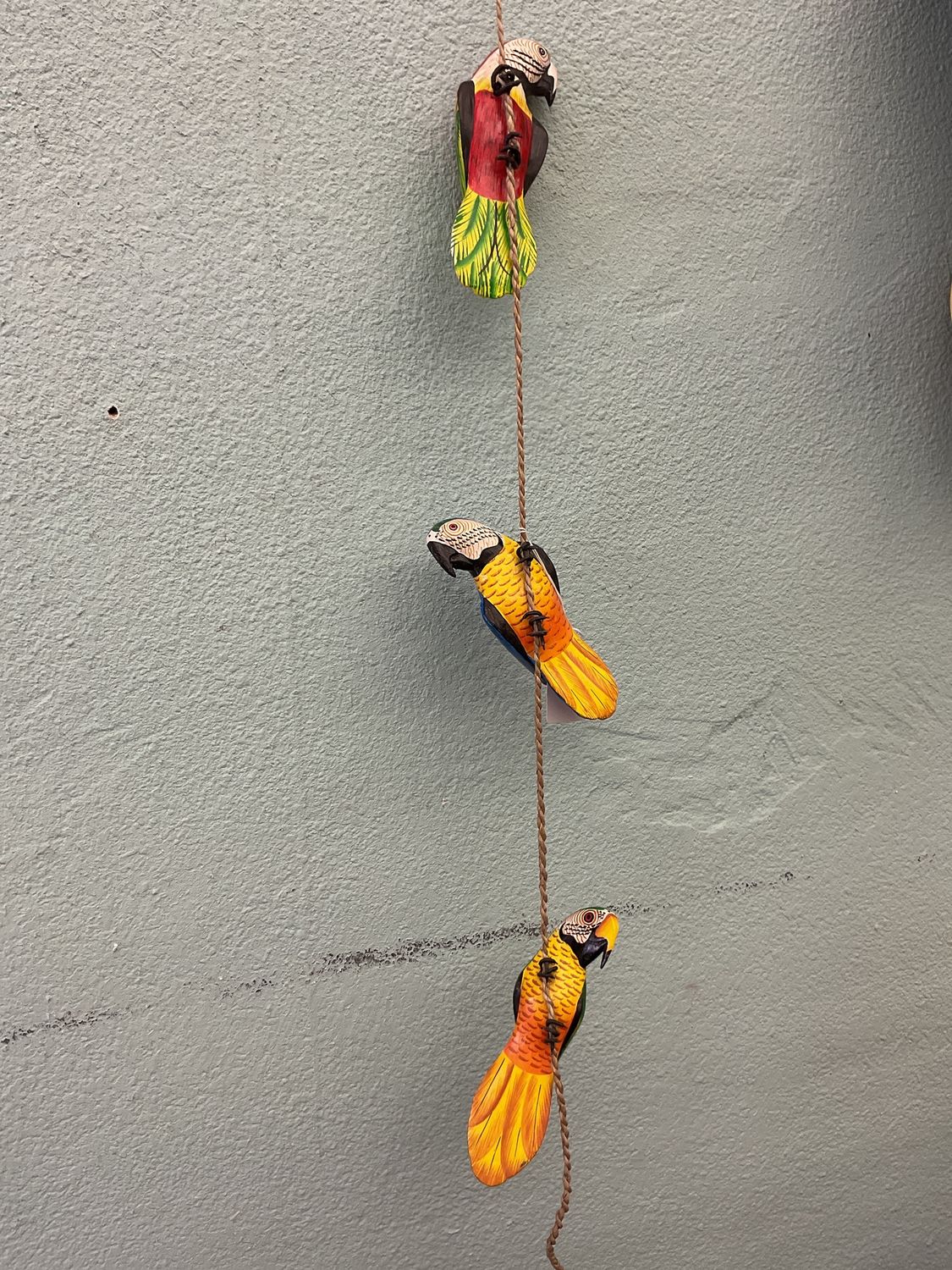3 parrots string