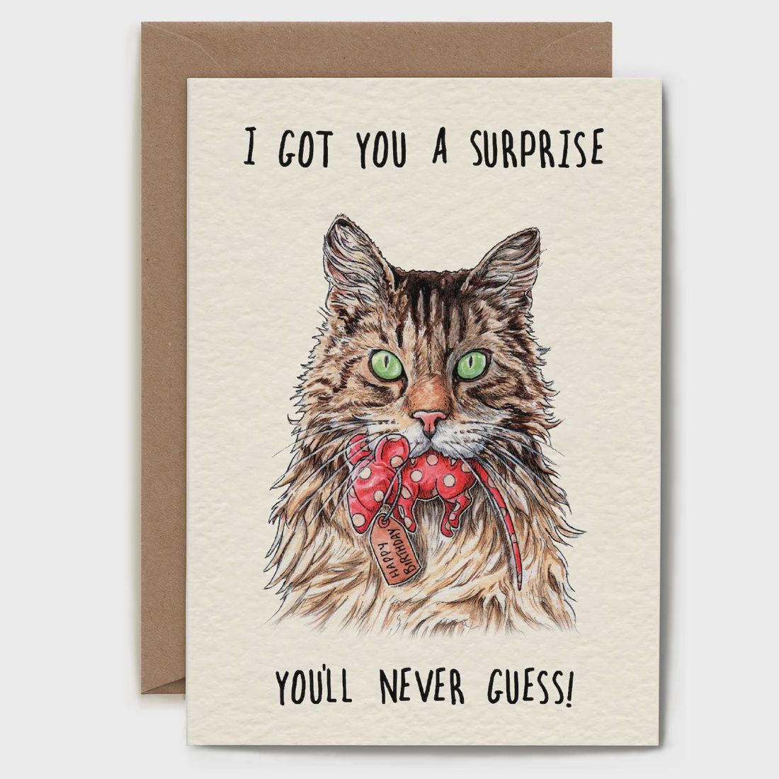 Birthday Surprise Greeting Card
