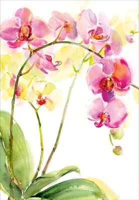 Watercolor Orchids