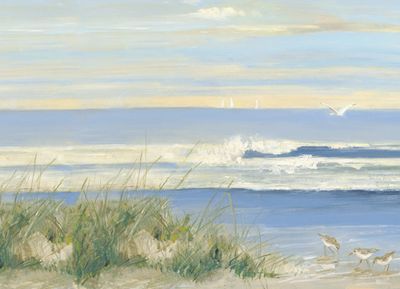 Shoreline Sympathy