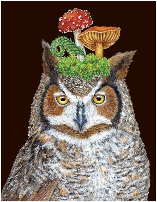 Woody The Owl