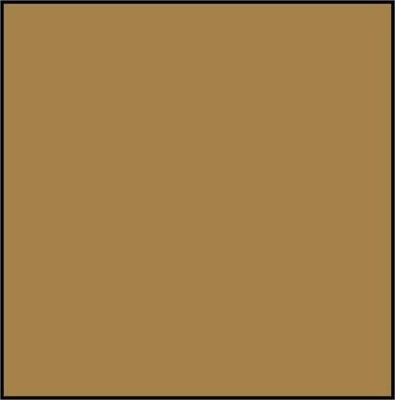 Vallejo Model Color Acrylic Paint German Camo Orange Ochre 17mL
