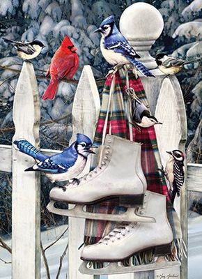 500 pcs - Birds With Skates