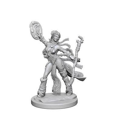 Pathfinder Deep Cuts Miniatures: Human Sorcerer Female