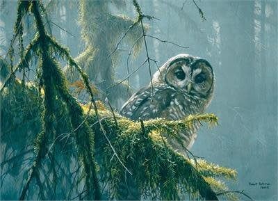 500 pcs - Mossy Branches, Spotted Owl