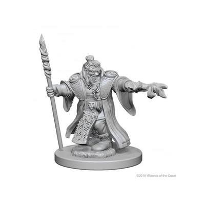 Nolzur&#39;s Marvelous Miniatures: Dwarf Wizard Male