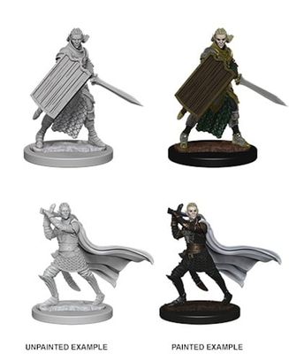 Pathfinder Deep Cuts Miniatures: Elf Paladin Male