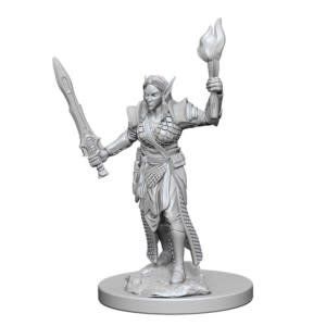 Pathfinder Deep Cuts Miniatures: Elf Fighter Female