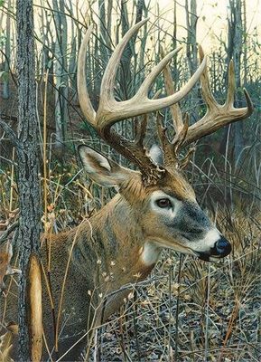 1000 pcs - White-Tailed Deer