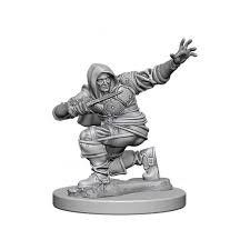 Pathfinder Deep Cuts Miniatures: Human Rogue Male (2018)