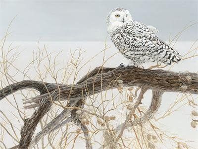 500 pcs - Fallen Willow Snowy Owl (Robert Bateman)