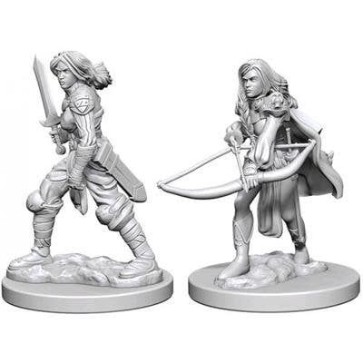 Pathfinder Deep Cuts Miniatures: Human Fighter Female