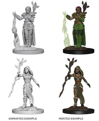 Nolzur&#39;s Marvelous Miniatures: Human Druid Female