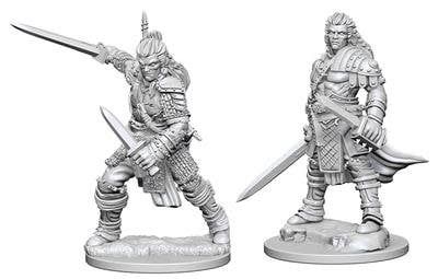 Pathfinder Deep Cuts Miniatures: Human Fighter Male