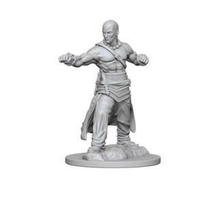 Pathfinder Deep Cuts Miniatures: Human Monk Male