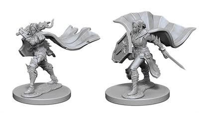 Pathfinder Deep Cuts Miniatures: Elf Paladin Female