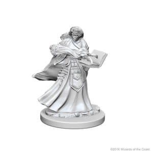 Nolzur&#39;s Marvelous Miniatures: Human Wizard Female (2018)