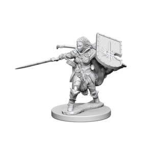 Pathfinder Deep Cuts Miniatures: Human Paladin Female