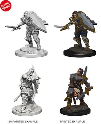 Nolzur&#39;s Marvelous Miniatures: Human Paladin Male (2019)