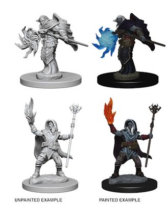 Nolzur&#39;s Marvelous Miniatures: Elf Wizard Male (2018)