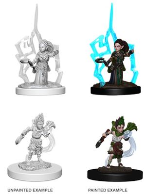 Pathfinder Deep Cuts Miniatures: Gnome Druid Female