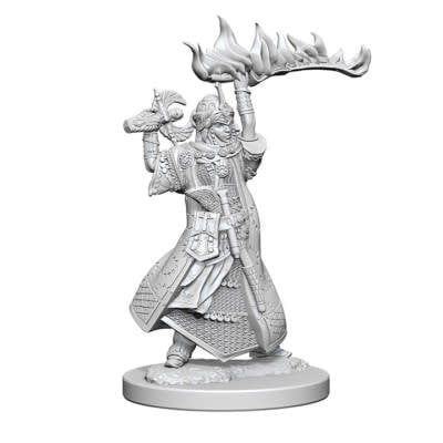 Pathfinder Deep Cuts Miniatures: Human Cleric Female