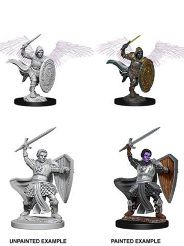 Nolzur&#39;s Marvelous Miniatures: Aasimar Paladin Male