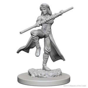 Nolzur's Marvelous Miniatures: Human Monk Female (2018)