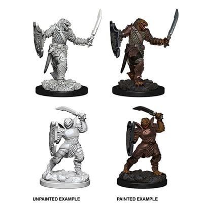 Nolzur's Marvelous Miniatures: Dragonborn Paladin Female