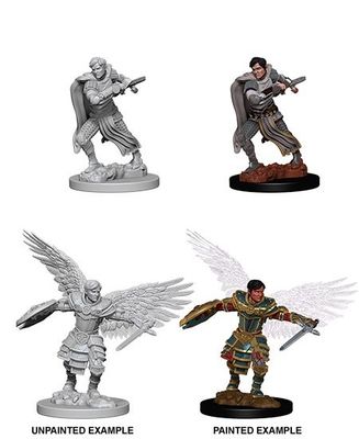 Nolzur's Marvelous Miniatures: Aasimar Fighter Male