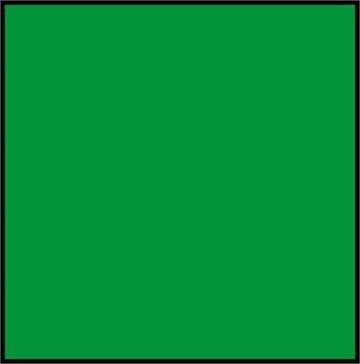 Vallejo Model Color Acrylic Paint Light Green 17 mL