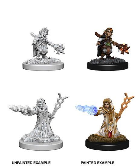 Nolzur&#39;s Marvelous Miniatures: Gnome Wizard Female