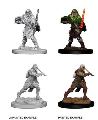 Nolzur's Marvelous Miniatures: Elf Fighter Male