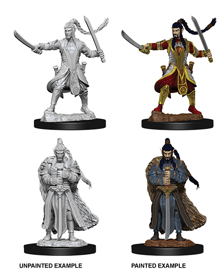Nolzur&#39;s Marvelous Miniatures: Elf Paladin Male