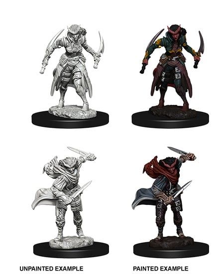 Nolzur's Marvelous Miniatures: Tiefling Rogue Female