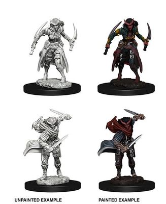 Nolzur's Marvelous Miniatures: Tiefling Rogue Female